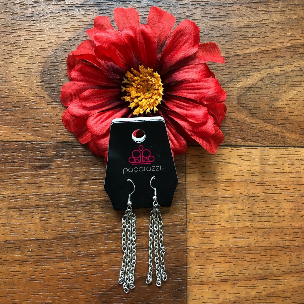 NWT Paparazzi Silver Earrings